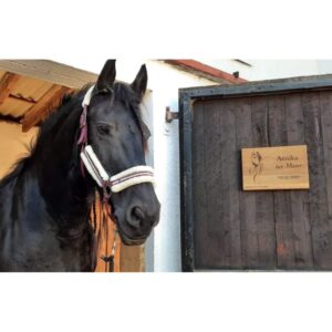 eichenholzschild-pferd-boxenschild