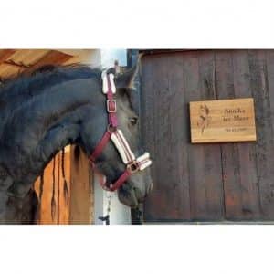 Stallschild-Boxenshcild-Pferde-Eichenholz