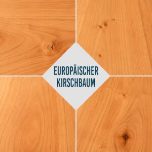 Europäischer_Kirschbaum_Holzmerkmale