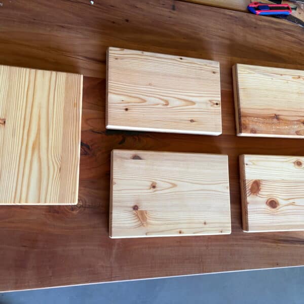 Unikat Holzbretter aus Lärchenholz im 5er Set